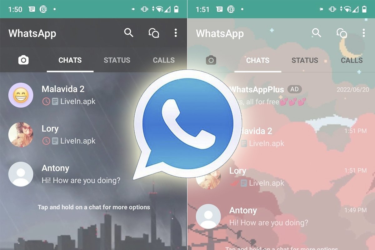 Analyze WhatsApp user interactions to improve social media ROI
