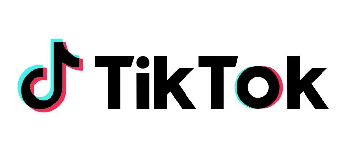 TikTok mobile number reconstruction tool.