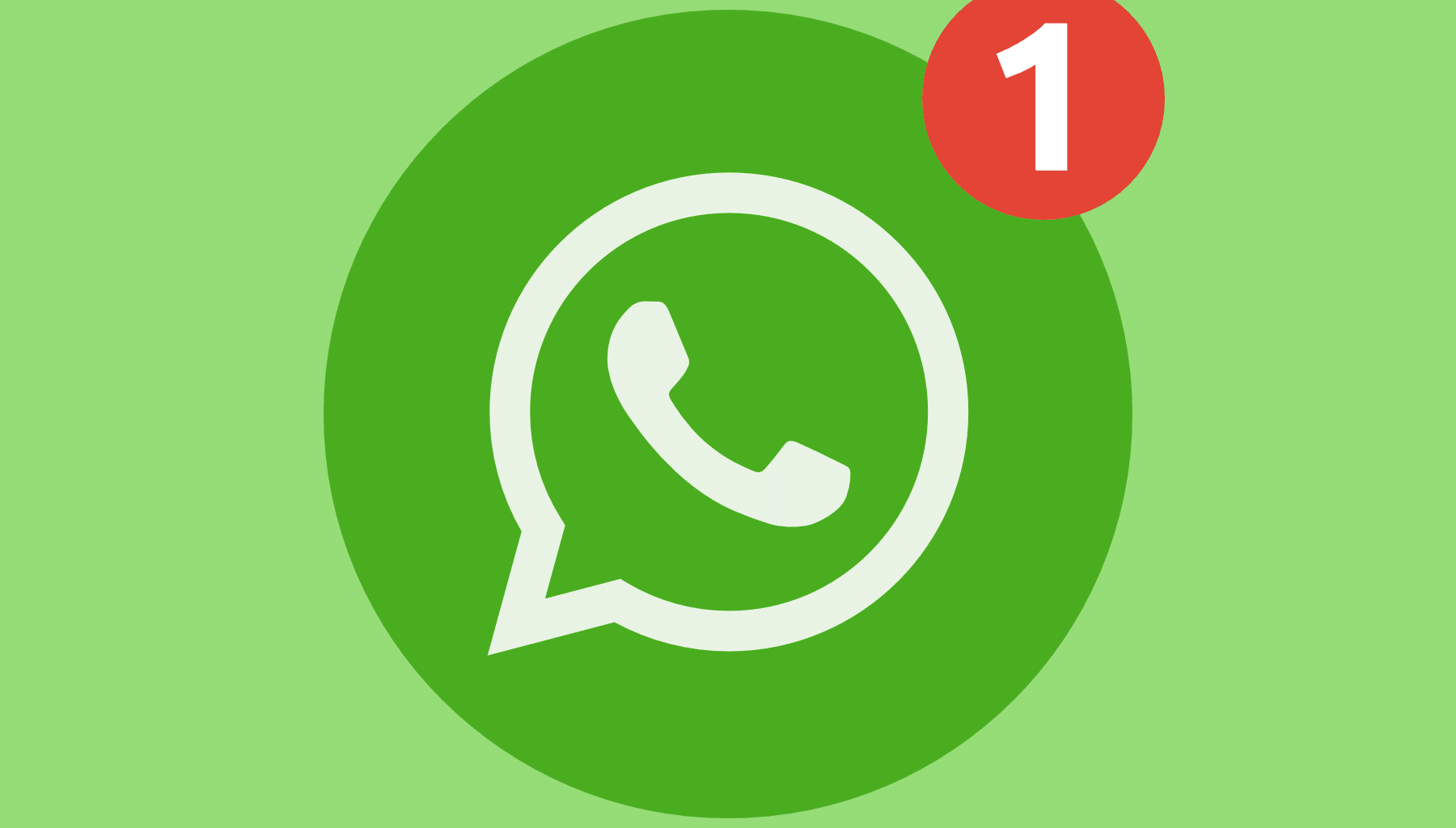 WhatsApp official rules update: How to avoid illegal use of group messaging apps