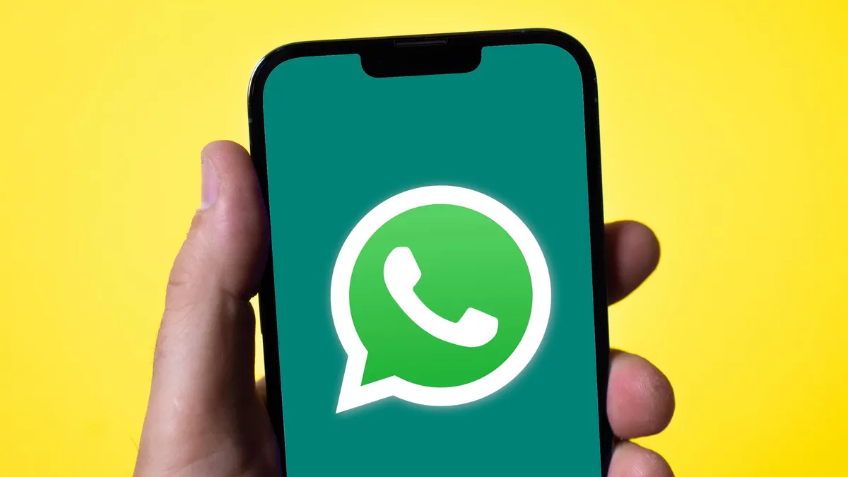 Why would you recommend WhatsApp Business for your organization?